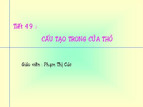 Bài 47. Cấu tạo trong của thỏ