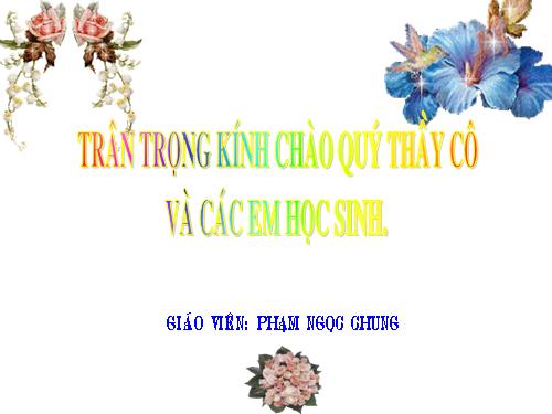 Bài 46. Thỏ