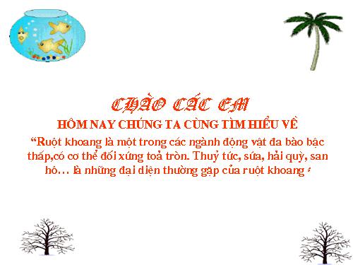 Bài 8. Thủy tức
