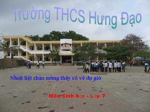 Bài 15. Giun đất