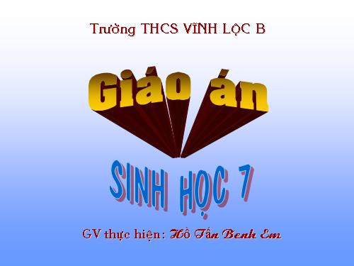 Bài 24. Đa dạng và vai trò của lớp Giáp xác