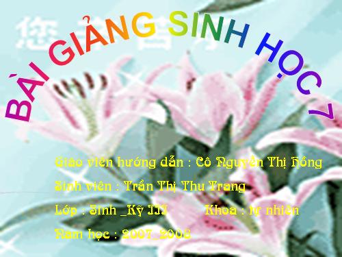 Bài 46. Thỏ