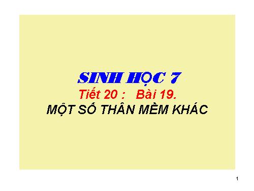 Bài 19. Một số thân mềm khác