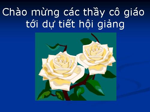 Bài 17. Một số giun đốt khác và đặc điểm chung của ngành Giun đốt
