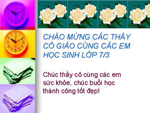 Bài 50. Đa dạng của lớp Thú: Bộ Ăn sâu bọ, bộ Gặm nhấm, bộ Ăn thịt