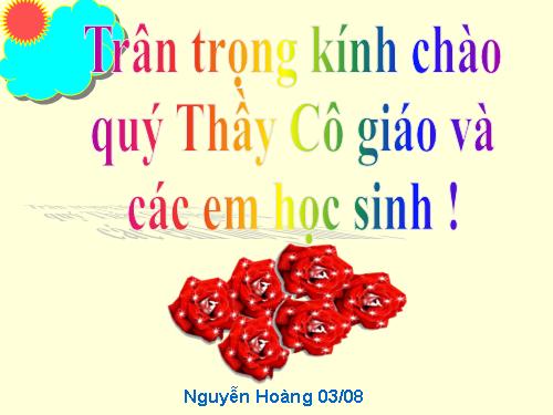 Bài 49. Đa dạng của lớp Thú: Bộ Dơi và bộ Cá voi