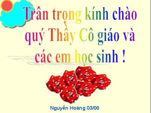Bài 49. Đa dạng của lớp Thú: Bộ Dơi và bộ Cá voi