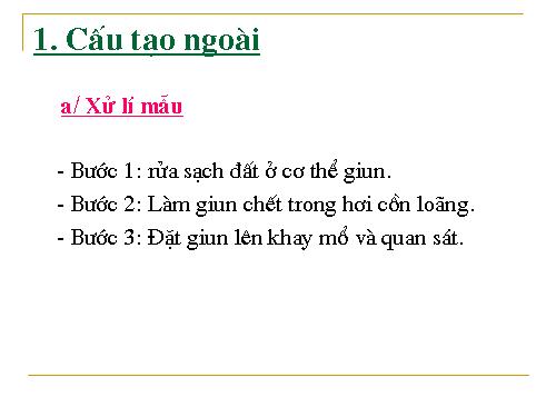 Bài 16. Thực hành: Mổ và quan sát giun đất