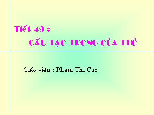 Bài 47. Cấu tạo trong của thỏ