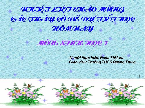 Bài 36. Thực hành: Quan sát cấu tạo trong của ếch đồng trên mẫu mổ
