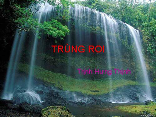Bài 4. Trùng roi