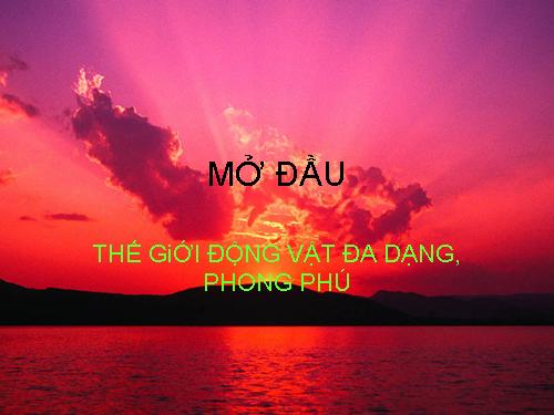Bài 1. Thế giới động vật đa dạng, phong phú