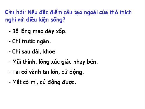 Bài 47. Cấu tạo trong của thỏ