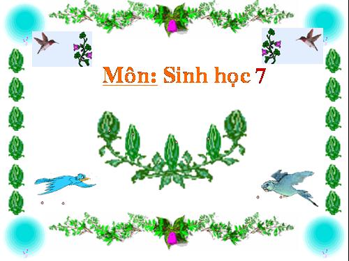 Bài 53. Môi trường sống và sự vận động, di chuyển