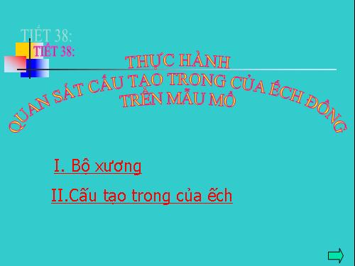 Bài 36. Thực hành: Quan sát cấu tạo trong của ếch đồng trên mẫu mổ