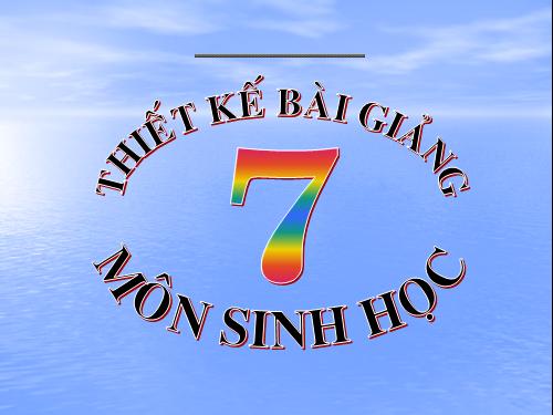 Bài 19. Một số thân mềm khác