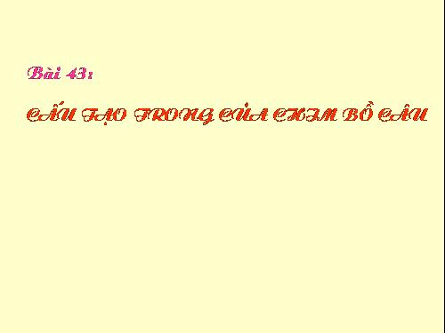 Bài 43. Cấu tạo trong của chim bồ câu