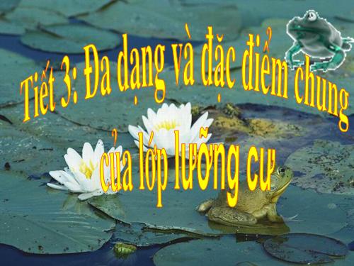 Bài 37. Đa dạng và đặc điểm chung của lớp Lưỡng cư