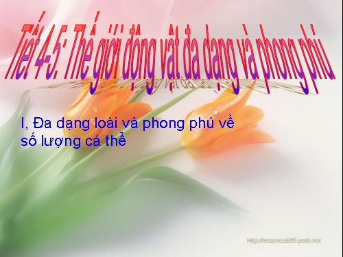 Bài 1. Thế giới động vật đa dạng, phong phú