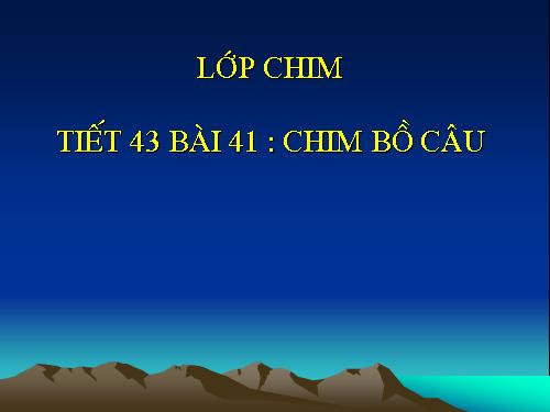 Bài 41. Chim bồ câu