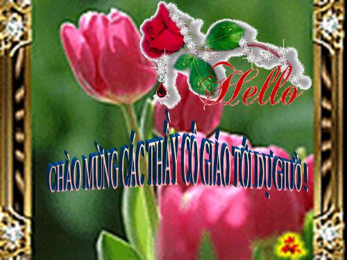 Bài 37. Đa dạng và đặc điểm chung của lớp Lưỡng cư