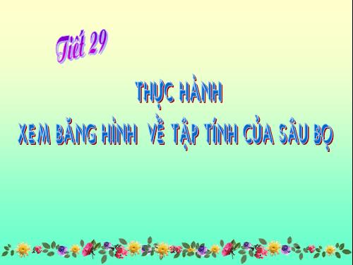 Bài 28. Thực hành: Xem băng hình về tập tính của sâu bọ