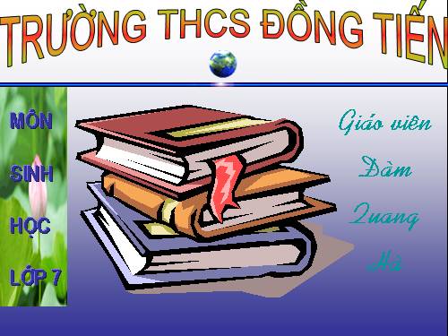 Bài 51. Đa dạng của lớp Thú: Các bộ Móng guốc và bộ Linh trưởng