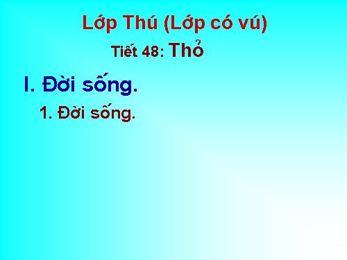 Bài 46. Thỏ
