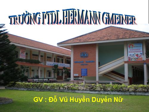 Bài 49. Đa dạng của lớp Thú: Bộ Dơi và bộ Cá voi