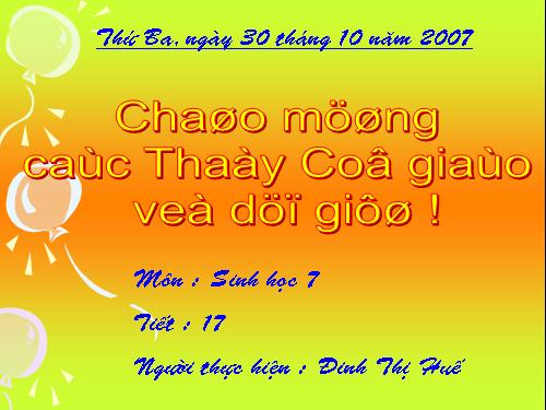 Bài 17. Một số giun đốt khác và đặc điểm chung của ngành Giun đốt