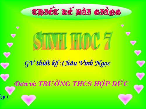 Bài 51. Đa dạng của lớp Thú: Các bộ Móng guốc và bộ Linh trưởng