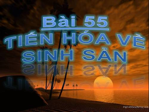Bài 55. Tiến hoá về sinh sản