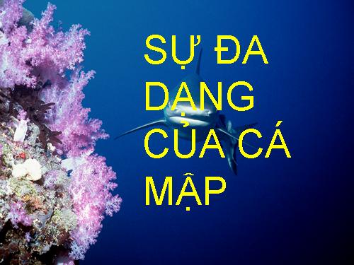 Bài 34. Đa dạng và đặc điểm chung của các lớp Cá
