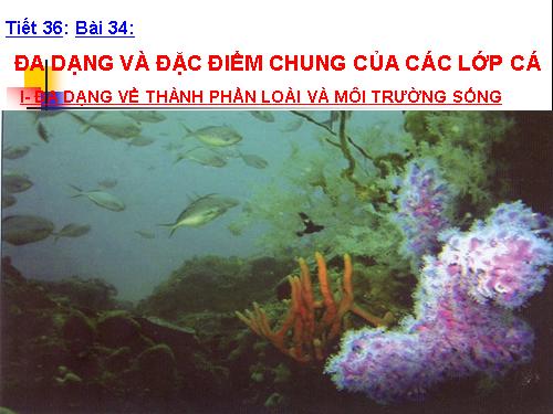 Bài 34. Đa dạng và đặc điểm chung của các lớp Cá