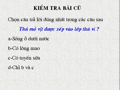 Bài 49. Đa dạng của lớp Thú: Bộ Dơi và bộ Cá voi