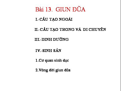 Bài 13. Giun đũa