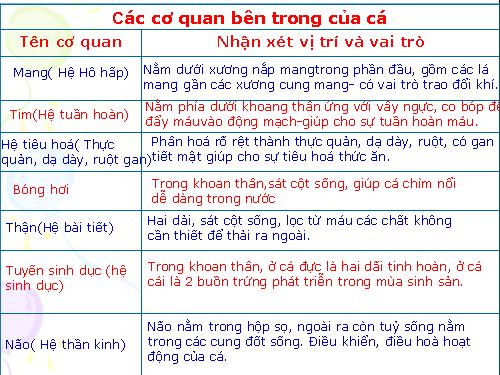 Bài 33. Cấu tạo trong của cá chép