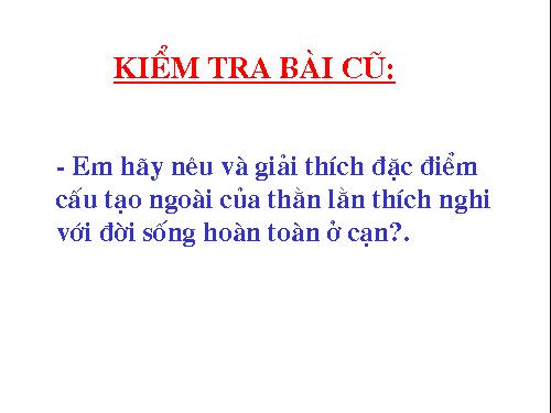 Bài 39. Cấu tạo trong của thằn lằn