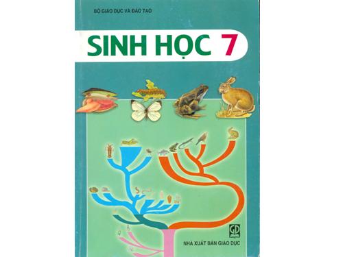 Bài 55. Tiến hoá về sinh sản