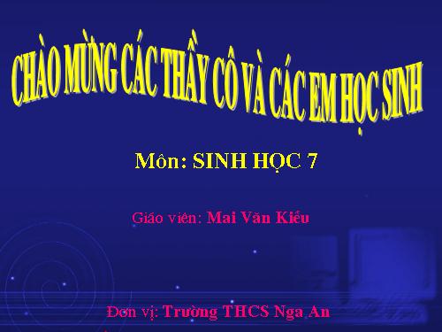Bài 51. Đa dạng của lớp Thú: Các bộ Móng guốc và bộ Linh trưởng