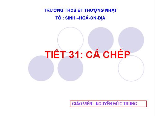 Bài 31. Cá chép