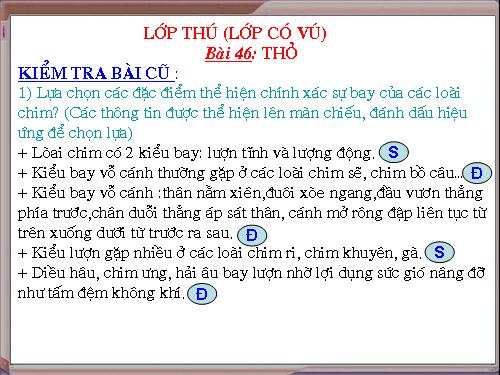 Bài 46. Thỏ