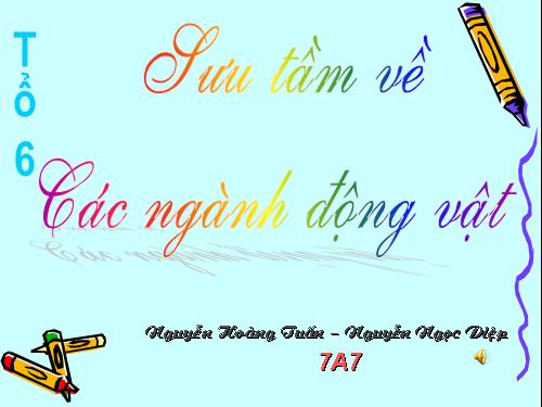 Sưu tầm về các ngành động vật