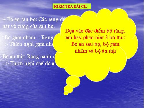 Bài 51. Đa dạng của lớp Thú: Các bộ Móng guốc và bộ Linh trưởng