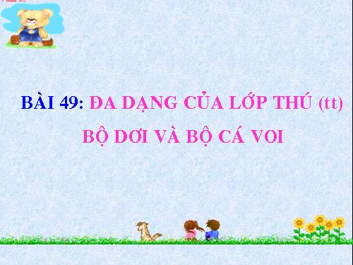 Bài 49. Đa dạng của lớp Thú: Bộ Dơi và bộ Cá voi