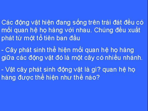 Bài 56. Cây phát sinh giới Động vật
