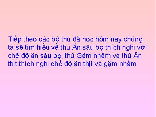 Bài 50. Đa dạng của lớp Thú: Bộ Ăn sâu bọ, bộ Gặm nhấm, bộ Ăn thịt