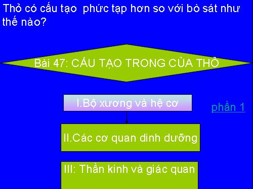 Bài 47. Cấu tạo trong của thỏ