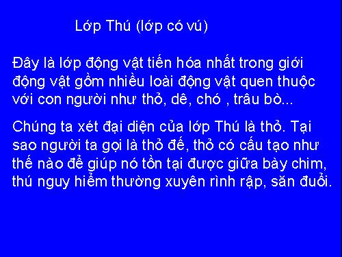 Bài 46. Thỏ
