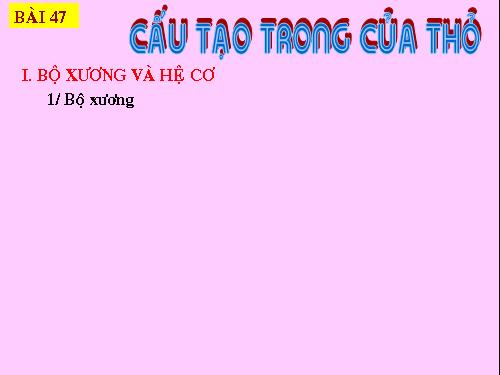 Bài 47. Cấu tạo trong của thỏ